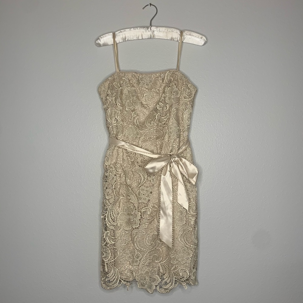 Adrianna Papell Evening Dress